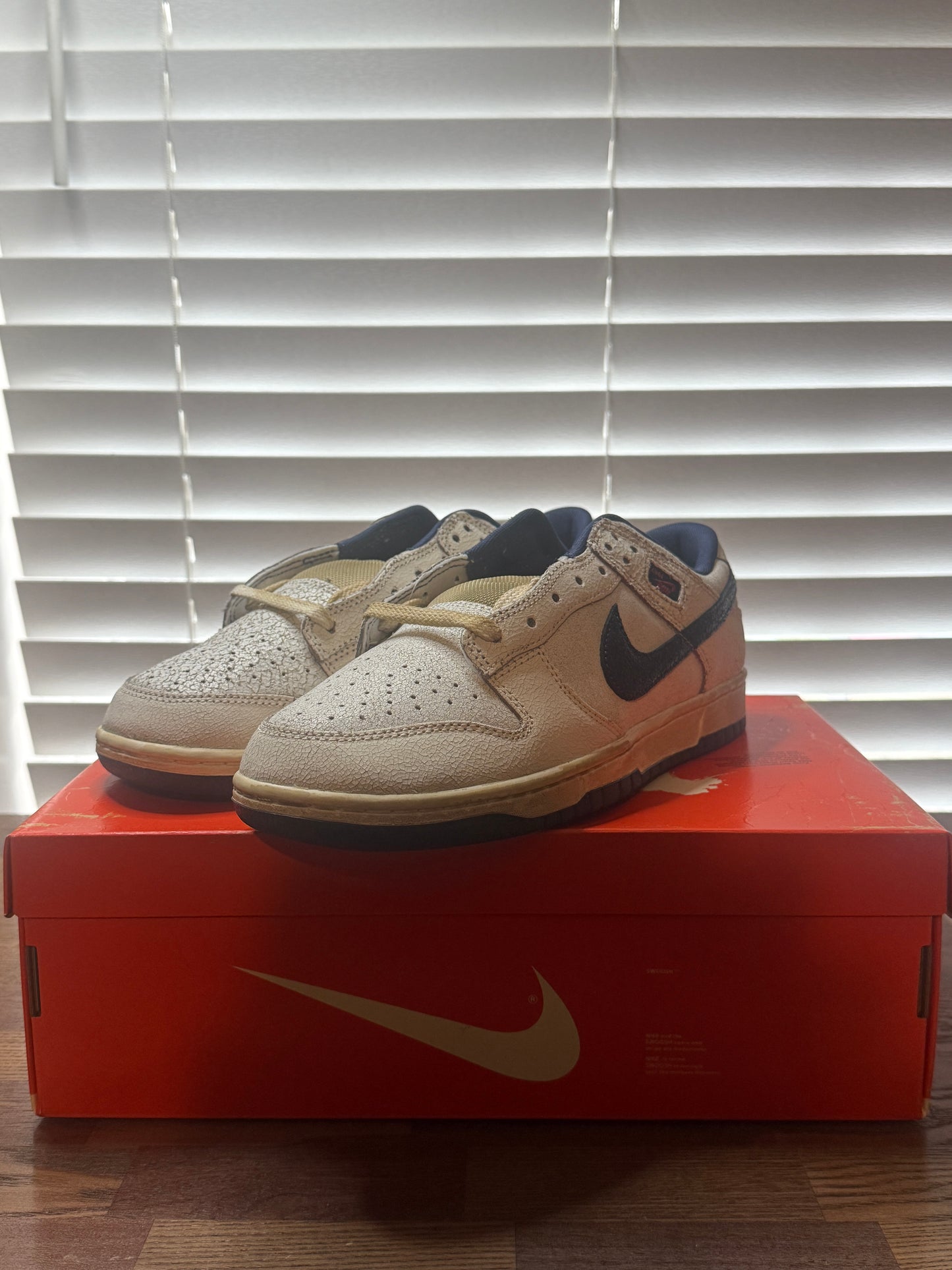 Nike Dunk Low Stranger Things